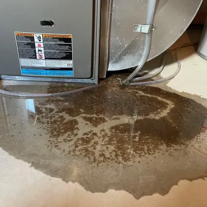 Appliance Leak Cleanup in Westminster, SC